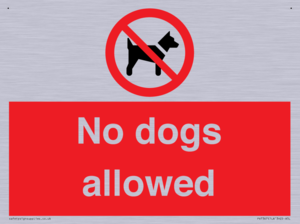 No dogs allowed